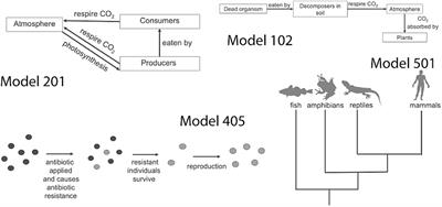 Individual variation in undergraduate student metacognitive monitoring and error detection during biology model evaluation